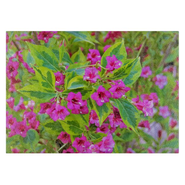 Planche À Découper Belle Weigela verte avec des fleurs de Crimson (Devant)
