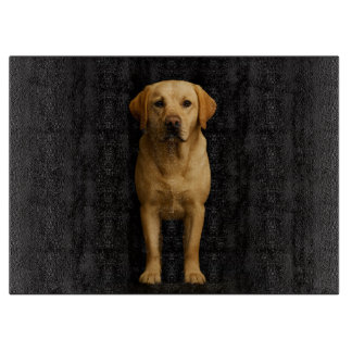 Planche À Découper Black 4 Luxe Glass board Minimalist Labrador