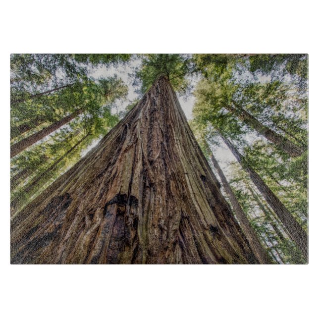 Planche À Découper Bois de Roosevelt (Devant)