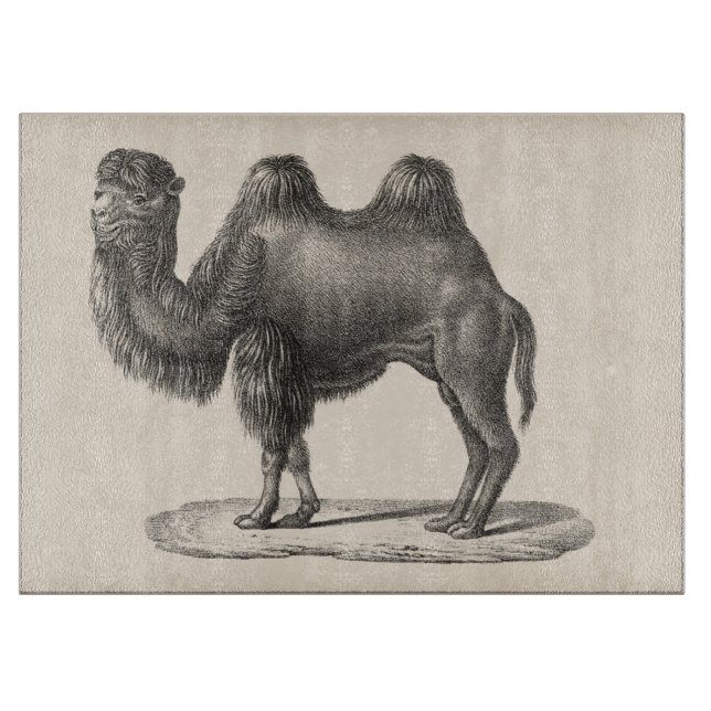 Planche À Découper Brodtmann Camel Sketch (Devant)