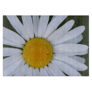 Planche À Découper Canada, Colombie-Britannique, Île de Vancouver 8