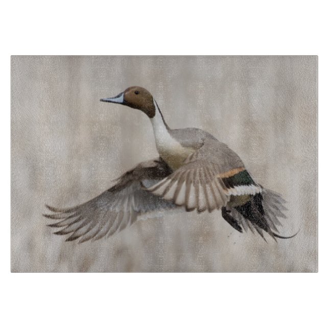 Planche À Découper Canard pilet Drake effectuant le vol (Devant)