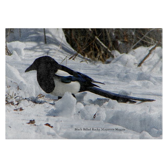 Planche À Découper Carte à découper Black Billed Rocky Mountain Magpi (Devant)