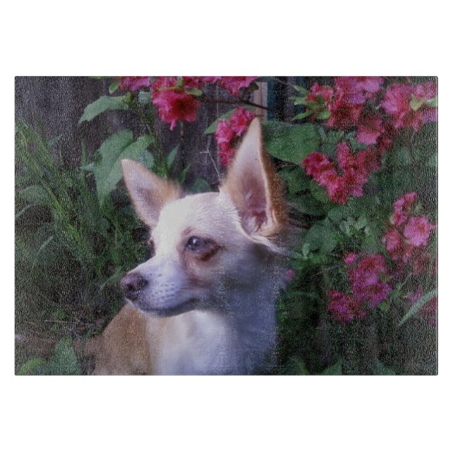 Planche À Découper Carte à découper en verre "Ajouter votre propre ph (Devant)