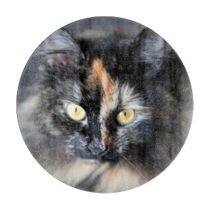 Planche À Découper Chat de Sibérie