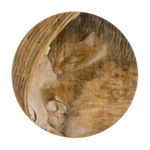 Planche À Découper Chat tigré orange dormant dans un panier