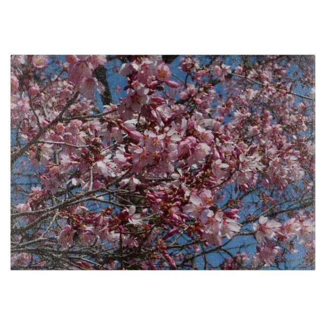 Planche À Découper Cherry Blossoms et Blue Sky Spring Floral (Devant)