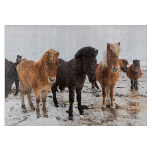 Planche À Découper Cheval islandais en hiver en Islande