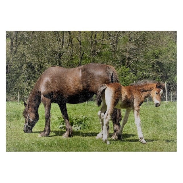 PLANCHE À DÉCOUPER CHEVAUX (Devant)