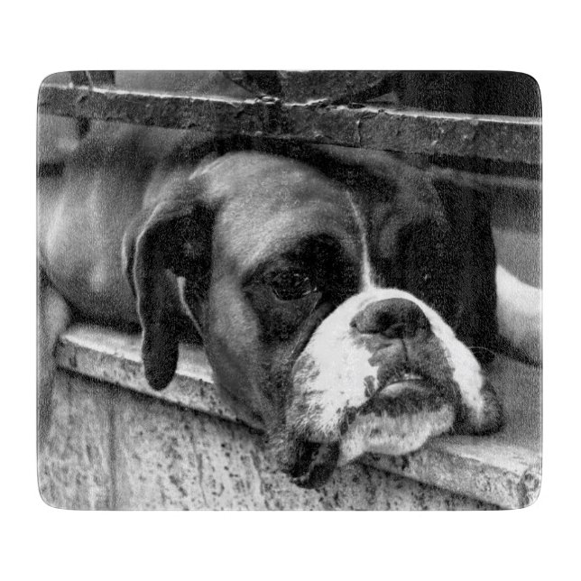 Planche À Découper Chien de boîte sur le rebord de fenêtre cbcnm (Devant)