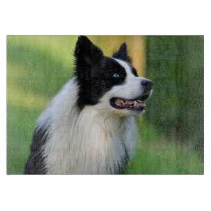 Planche À Découper Chien noir et blanc à la frontière