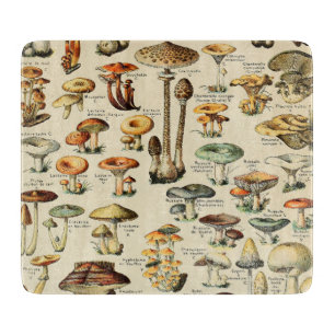 Planche À Découper Collection de champignons   