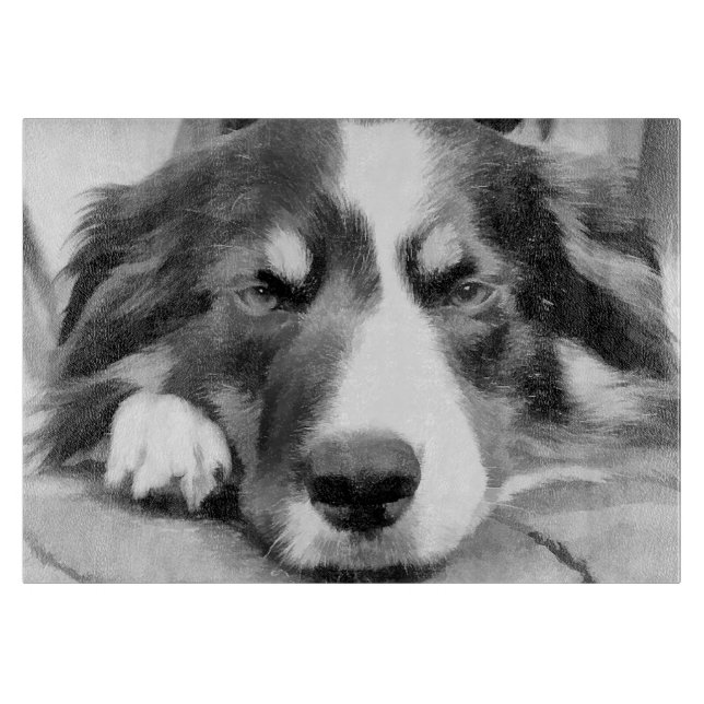 PLANCHE À DÉCOUPER COLLIE FRONTALIÈRE (Devant)