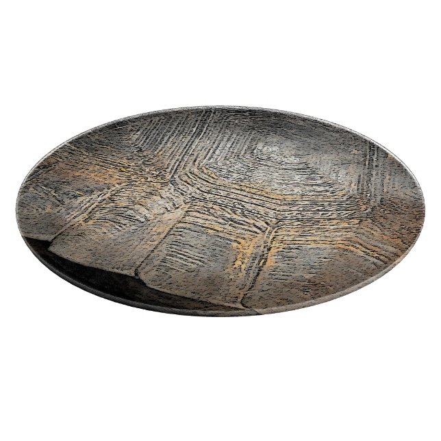 Planche À Découper Conception de carapace de tortue gaufrée (Coin)