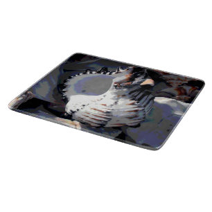 Planche À Découper Coquille de mer rayée