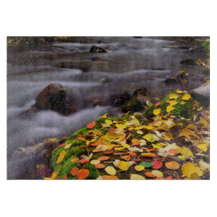 Planche À Découper Couleurs d'automne le long du ruisseau McGee