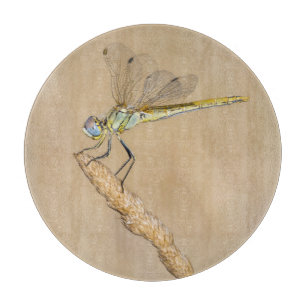 Planche À Découper Crème de dragonfly Femme (CC BY 4.0)
