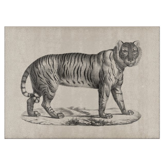Planche À Découper Croquis Brodtmann Tiger (Devant)
