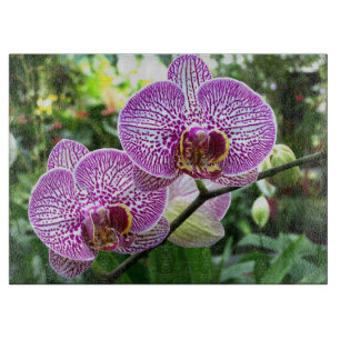 Planche À Découper Cuisine De Cuisine En Verre - Orchidées Violettes