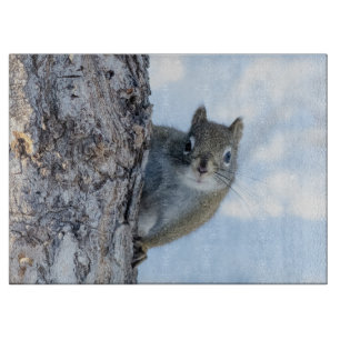 Planche À Découper Curious Squirrel, Canadian Animal Photography