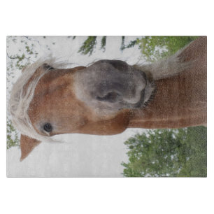 Planche À Découper Cute Belgian Draft Horse Face Animal