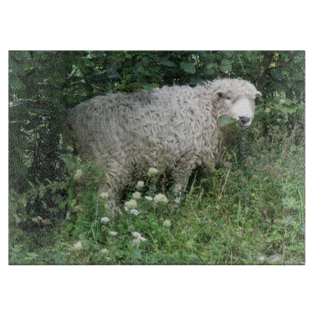 Planche À Découper Cute Blanc Fluffy Sheep table de découpe (Devant)
