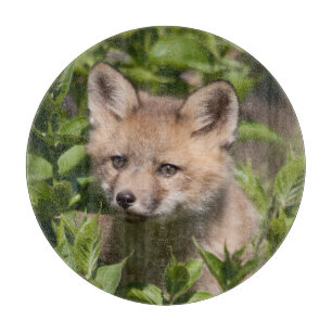 Planche À Découper Cutest Baby Animals Fox Kit