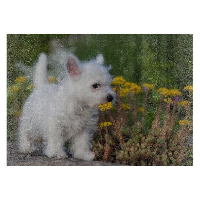 Planche À Découper Cutest Baby Animals | West Highland White Terrier (Devant)