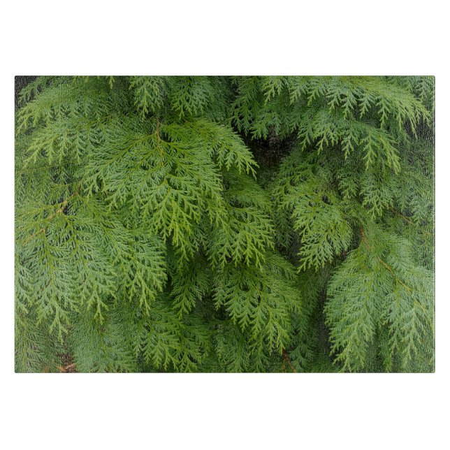 Planche À Découper Cypress (Devant)