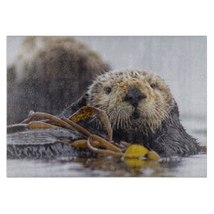 Planche à découper de surprise de loutre