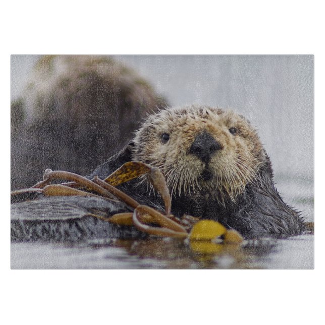 Planche à découper de surprise de loutre (Devant)