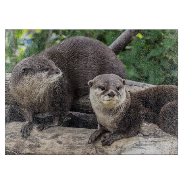 Planche À Découper Deux loutre mignonne des loutres | (Devant)