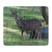 Deux panneaux de découpe en verre de cerf noir