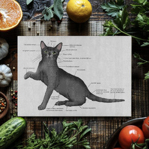 Planche À Découper Diagramme d'anatomie de chat drôle humour nerd