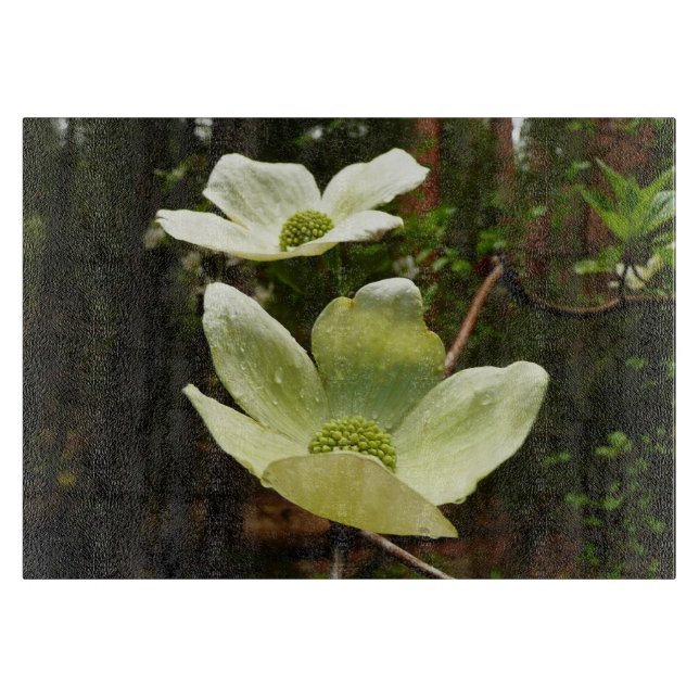 Planche À Découper Dogwoods et séquoias dans le parc national Yosemit (Devant)