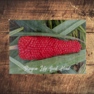 Planche À Découper Dragon Lily Red Seed Head
