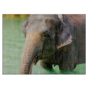 Planche À Découper Éléphant asiatique dans l'eau verte, photo anima