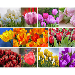 Planche à découper en verre Fleurs Décoratives