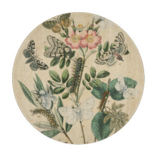 Planche À Découper Étapes de la vie de papillon par le studio de