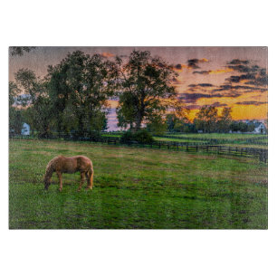 Planche À Découper États-Unis, Lexington, Kentucky. Cheval solitaire