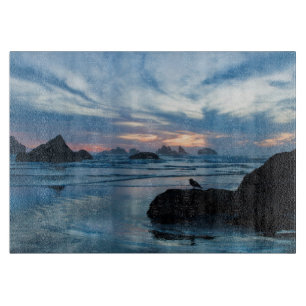 Planche À Découper États-Unis, Oregon, Bandon Beach. Mouette sur un r