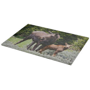 Planche À Découper États-Unis, Wyoming, montagnes Bighorn, élan Alces
