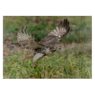 Planche À Découper Faucon coupé la queue par rouge non mûr