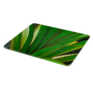 Planche À Découper Fermeture de la colonne vertébrale