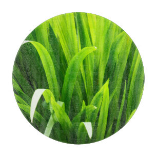 Planche À Découper Feuilles rétroéclairés dans le jardin