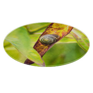 Planche À Découper fixation calme