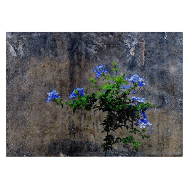Planche À Découper Fleur bleu Plumbago (Devant)