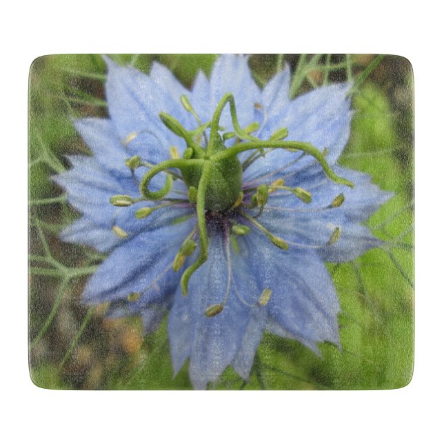 Planche À Découper Fleur de floraison verte Nigella (Devant)
