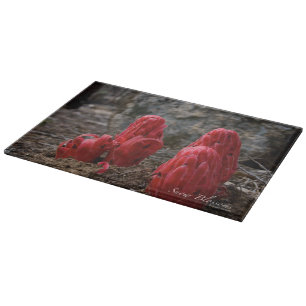 Planche À Découper Fleurs de neige