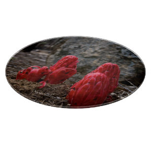 Planche À Découper Fleurs de neige